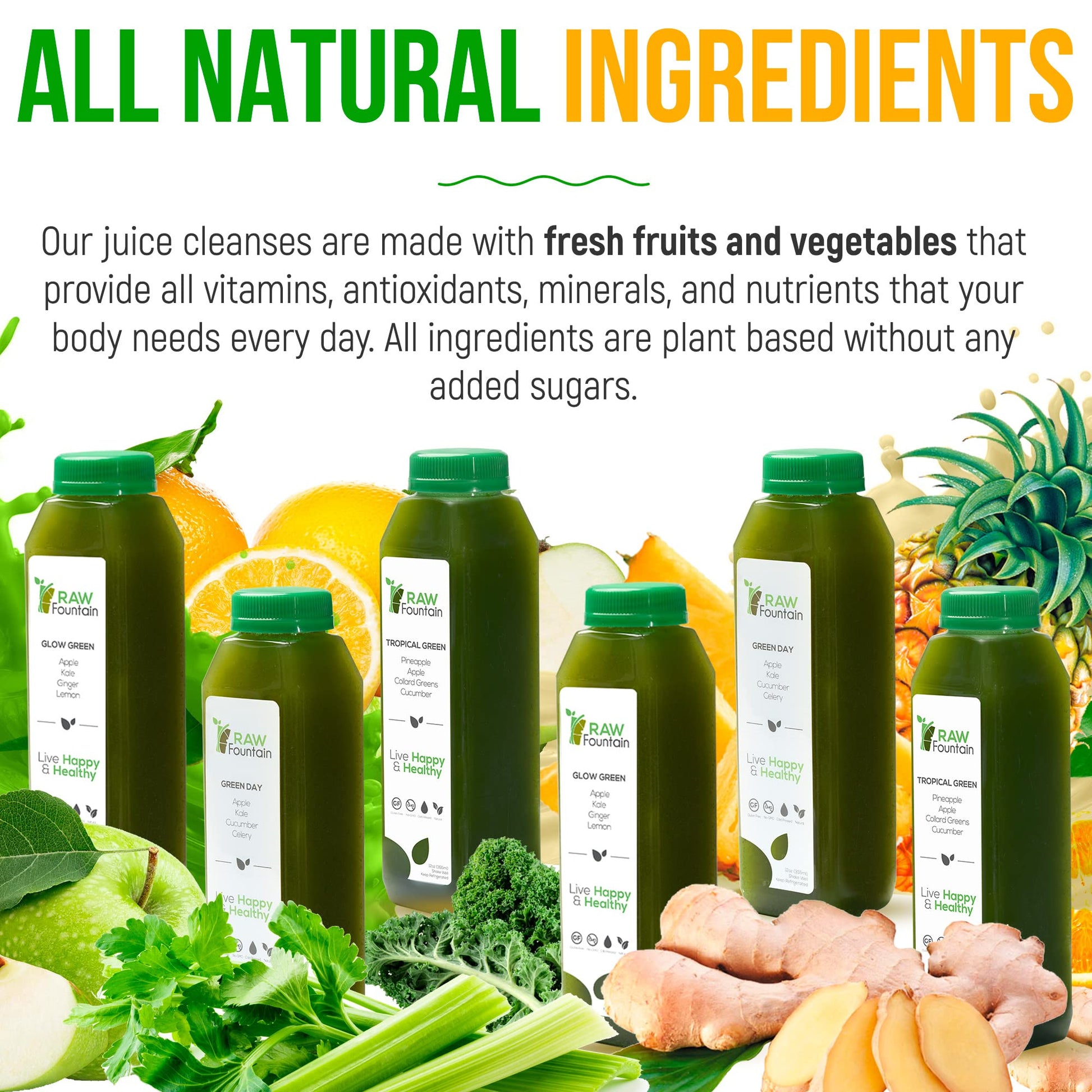 1 Day Green Juice Cleanse by Raw Fountain, All Natural Raw, Vegan Detox, Cold Pressed Raw Fountain