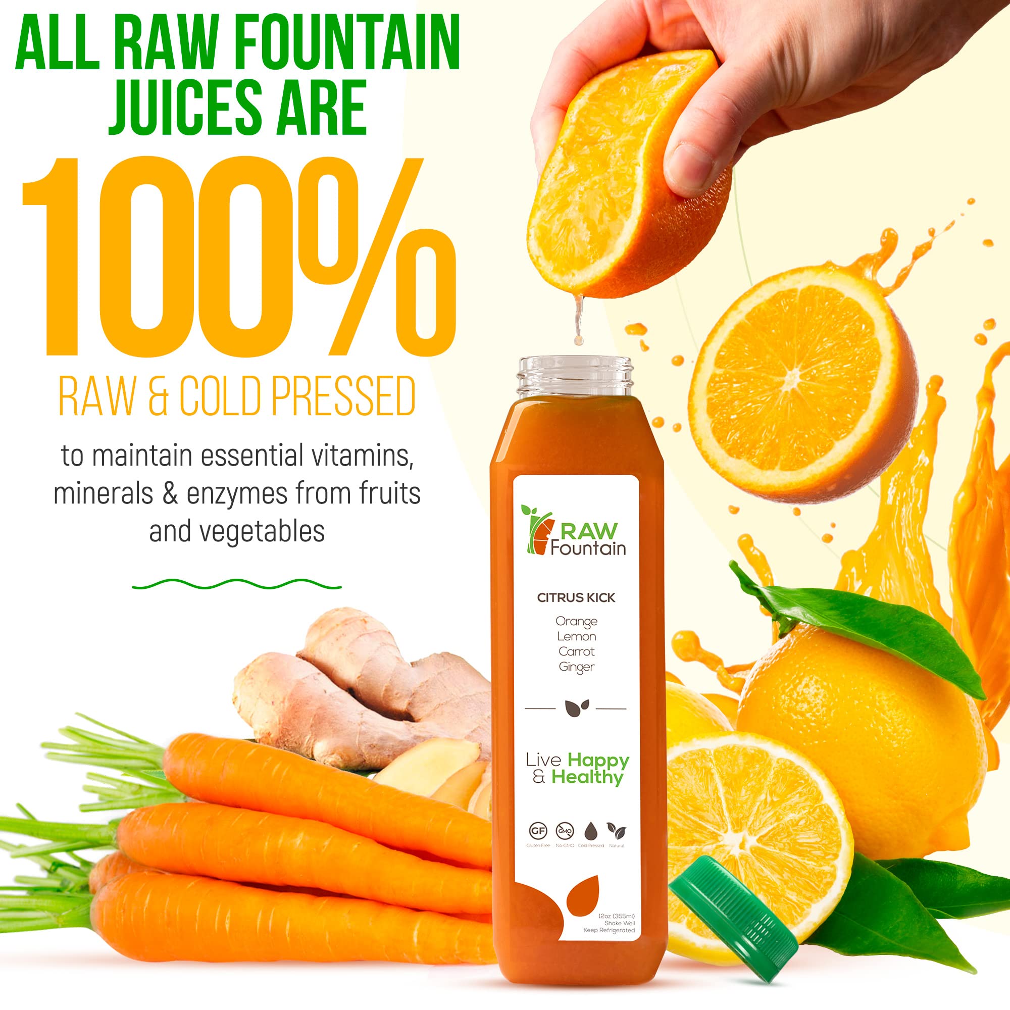 1 Day Green Juice Cleanse by Raw Fountain, All Natural Raw, Vegan Detox, Cold Pressed Raw Fountain