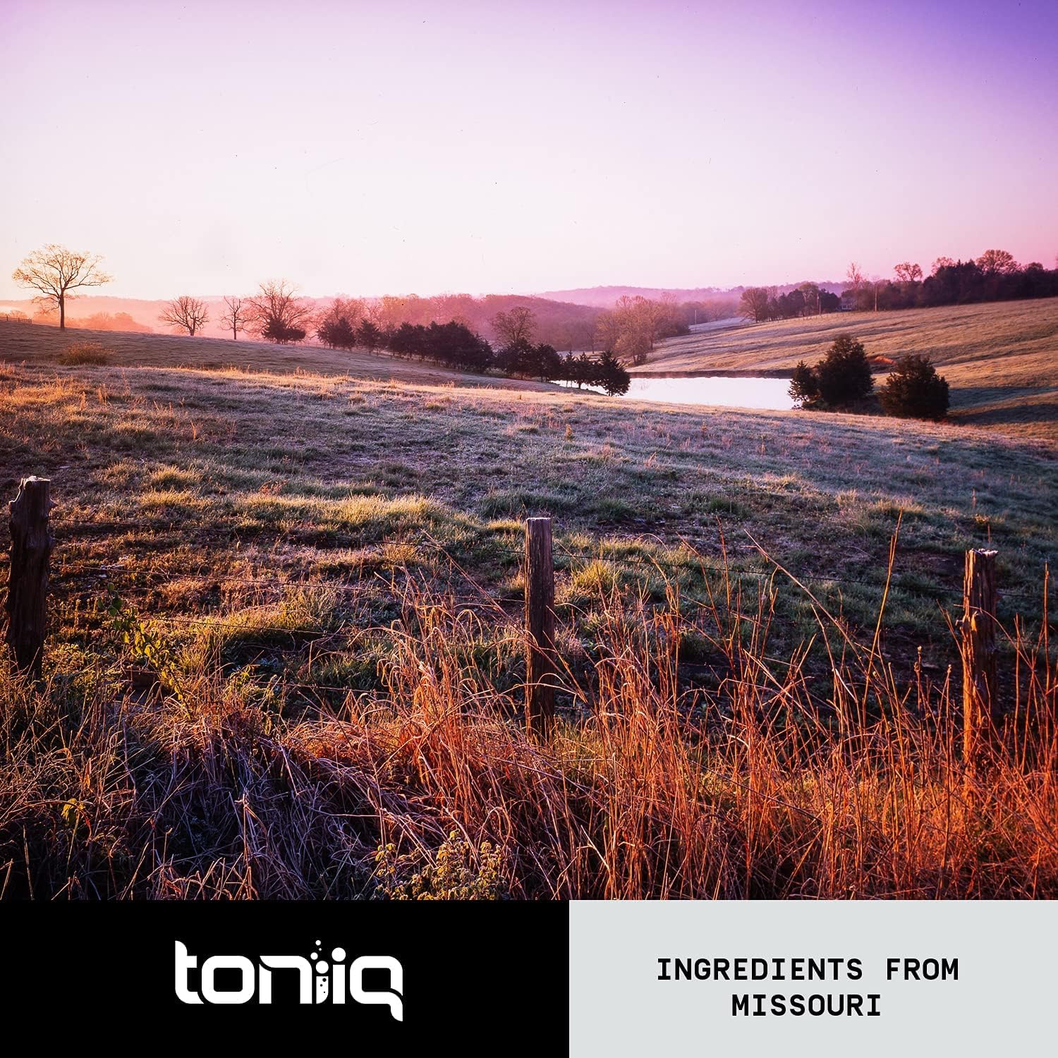 28,000mg 20x Concentrated Extract Beet Root Capsules - Natural Nitric Oxide Booster