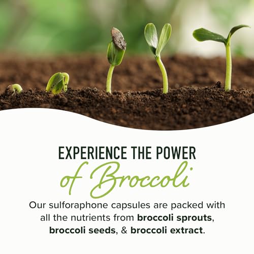 20MG Sulforaphane | From Broccoli Sprouts & Seed Extract | 565MG Microbeadlet SMNutrition