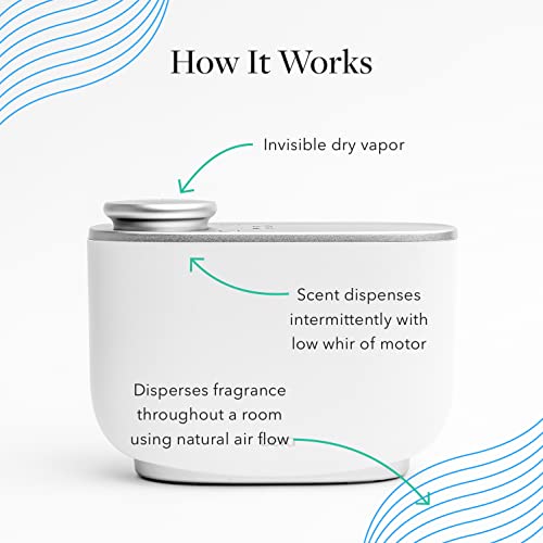 Aera Majestic Fir Home Fragrance Scent Refill - Notes of Fir and Juniper - Works with The Aera Diffuser AERA