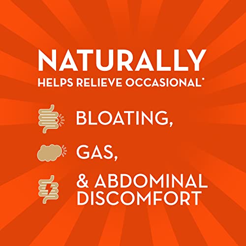 Align Probiotic, Pro Formula, Probiotics for Women and Men, Daily Probiotic Supplement Align