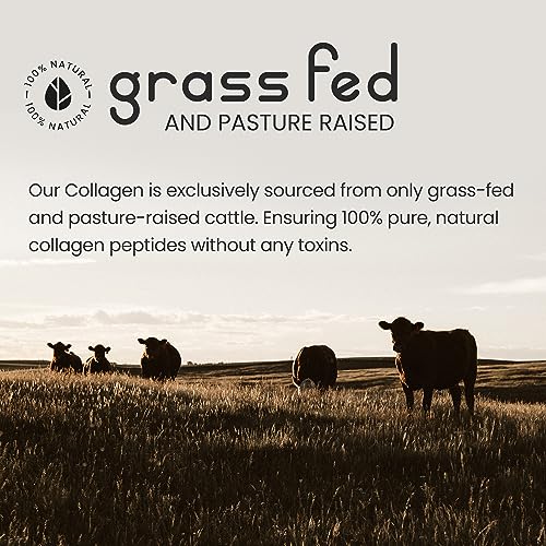 Bovine Collagen Peptides Powder 500g - 50 Servings - 100% Pure, Hydrolysed, Type 1 & 3-19 Amino Acids