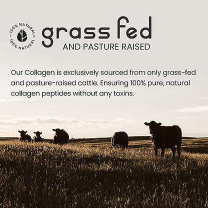 Bovine Collagen Peptides Powder 500g - 50 Servings - 100% Pure, Hydrolysed, Type 1 & 3-19 Amino Acids