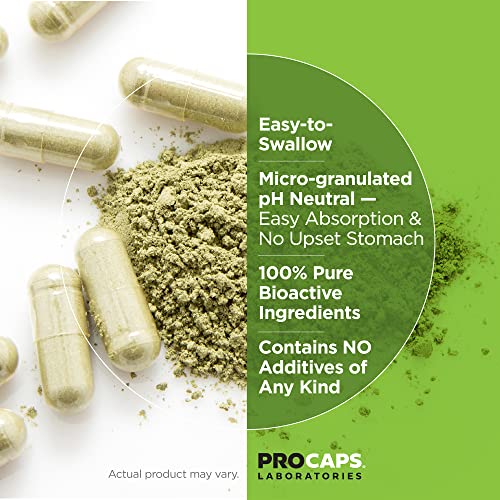 ANDREW LESSMAN Prenatal Essentials 360 Capsules - Complete Prenatal Vitamins for Women