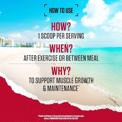 BSN True Mass All-In-One Gainer Protein and Carbohydrate Powder with Creatine