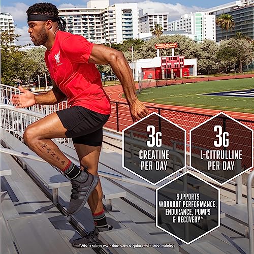 BSN NITRIX 2.0 - Nitric Oxide Precursors, 3g Creatine, 3g L Citrulline - Supports Workout BSN