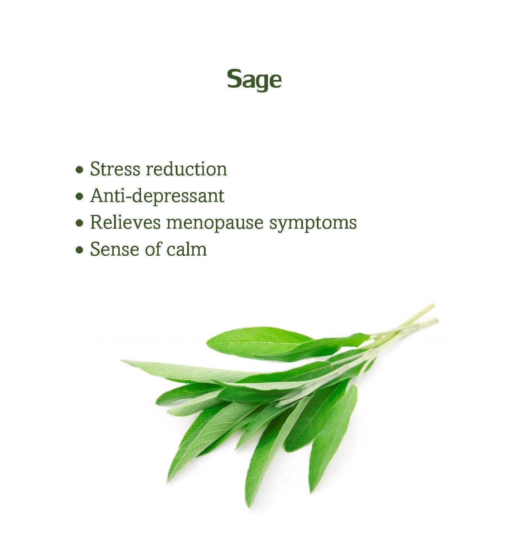 AcuBalance Hot Flashes Menopause Relief Bracelet-Calming Acupressure Band-Natural Relief AcuBracelet