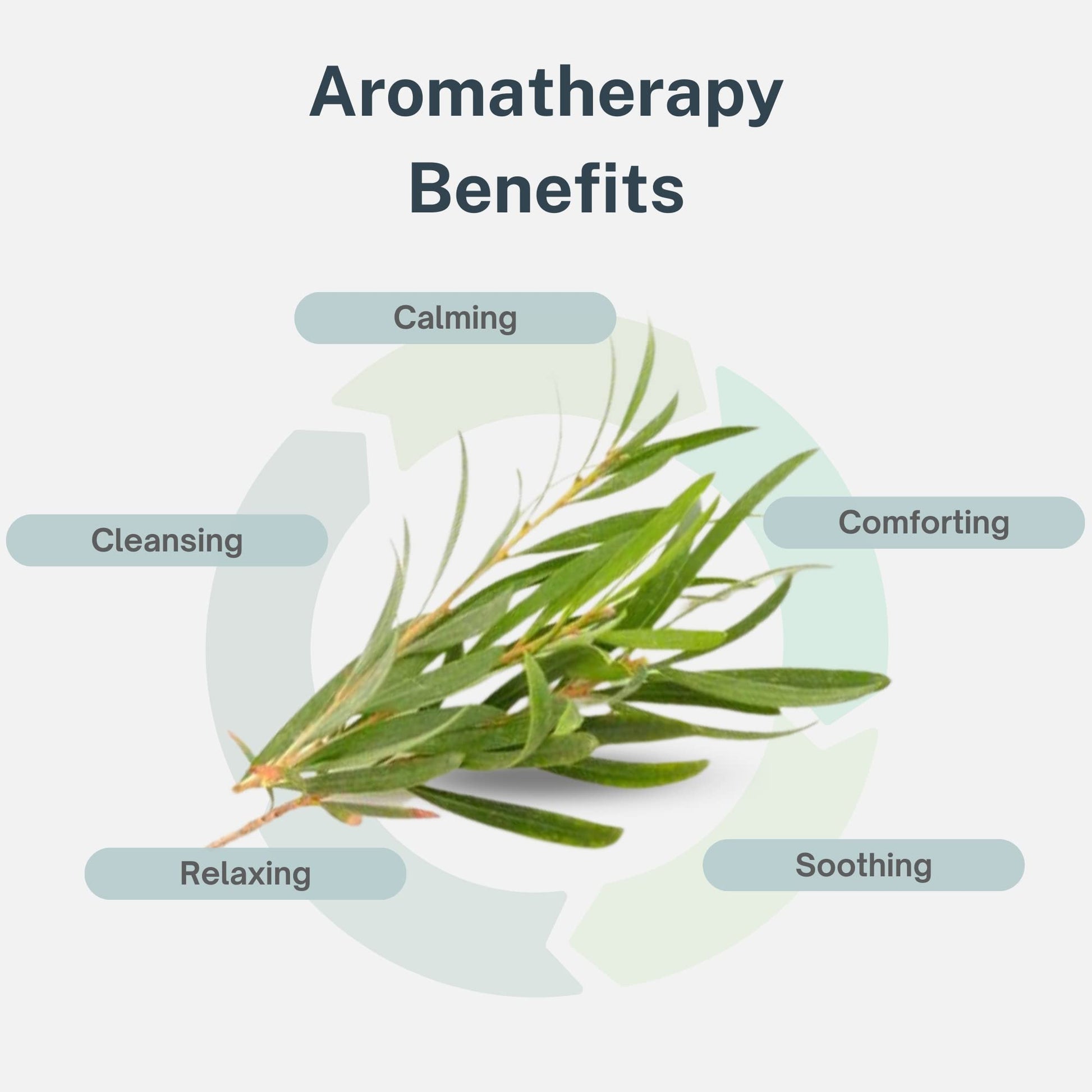 Air Oasis Premium Grade Essential Oils | 100% Pure Essential Oils Perfect for Diffuser, Humidifier Air Oasis