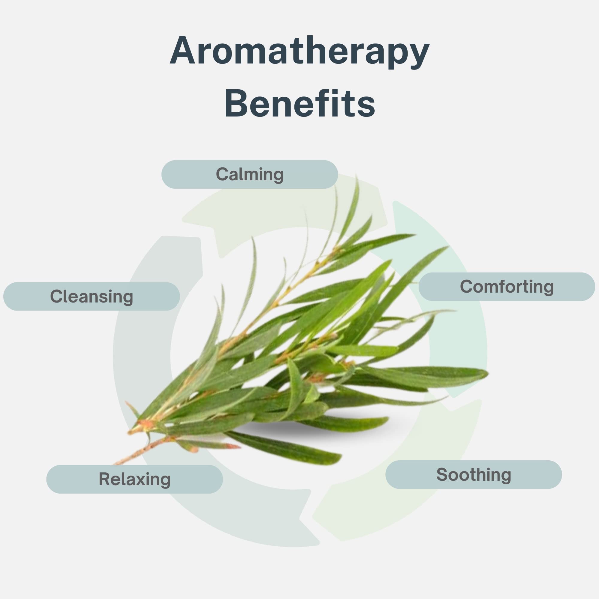 Air Oasis Premium Grade Essential Oils | 100% Pure Essential Oils Perfect for Diffuser, Humidifier Air Oasis