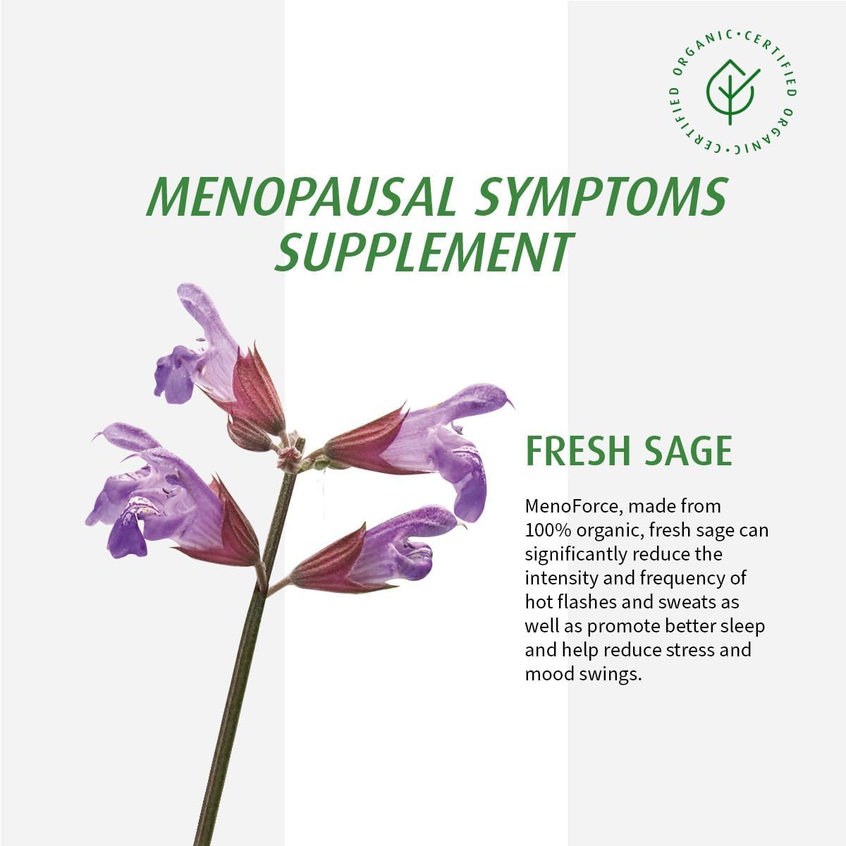 A VOGEL Organic Menopause, 90 CT A.Vogel