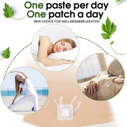Bubchen Mugwort Belly Patch,30Pcs Natural Wormwood Essence and 30Pcs Belly Sticker BURWSEKK