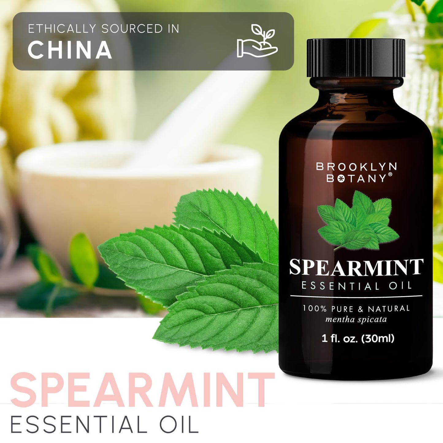 Brooklyn Botany Spearmint Essential Oil – 100% Pure and Natural – Premium Grade Oil