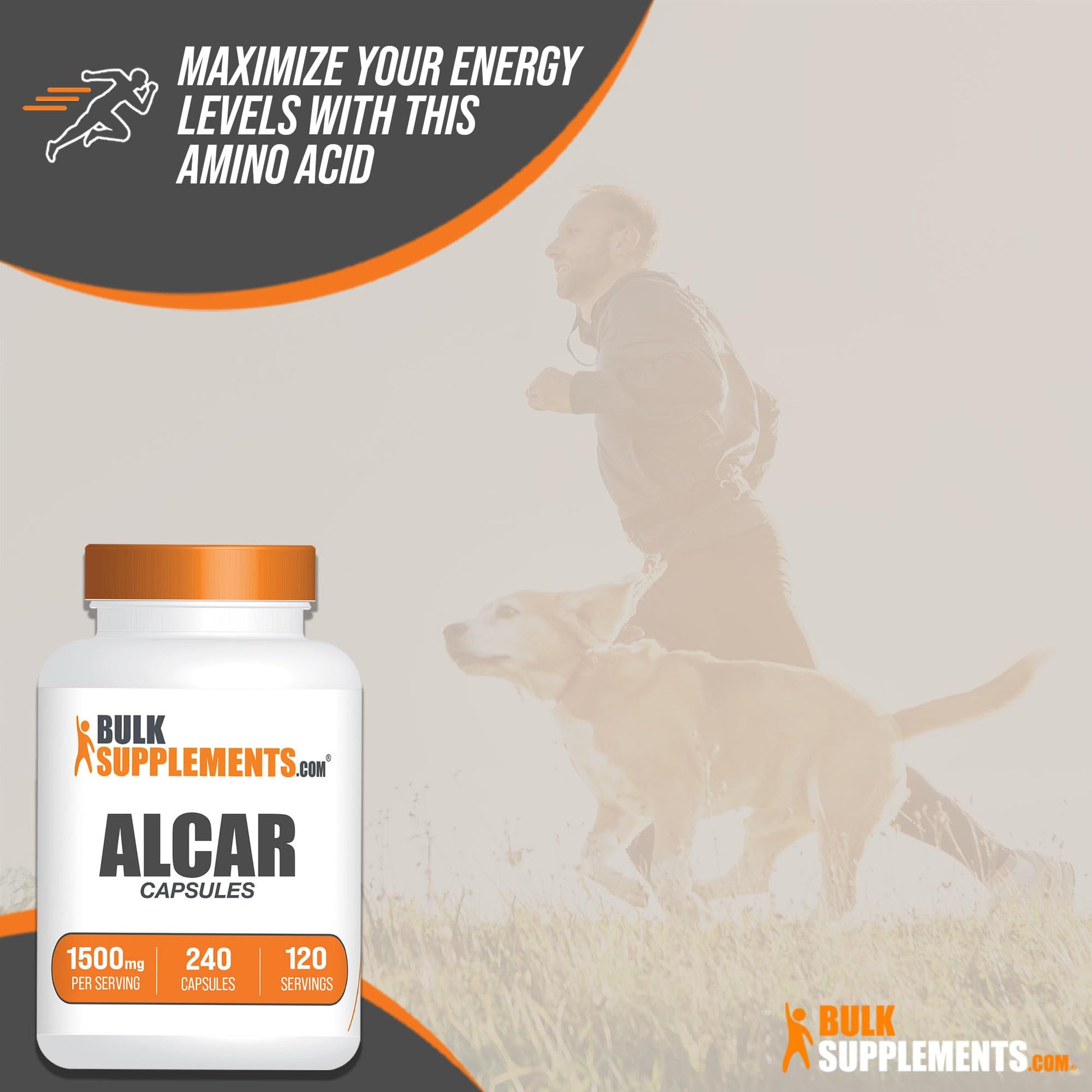 BULKSUPPLEMENTS.COM Acetyl L-Carnitine Capsules - ALCAR HCl, Carnitine Supplement BULKSUPPLEMENTS.COM