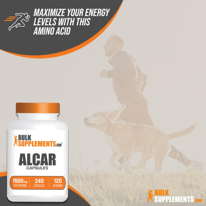 BULKSUPPLEMENTS.COM Acetyl L-Carnitine Capsules - ALCAR HCl, Carnitine Supplement BULKSUPPLEMENTS.COM