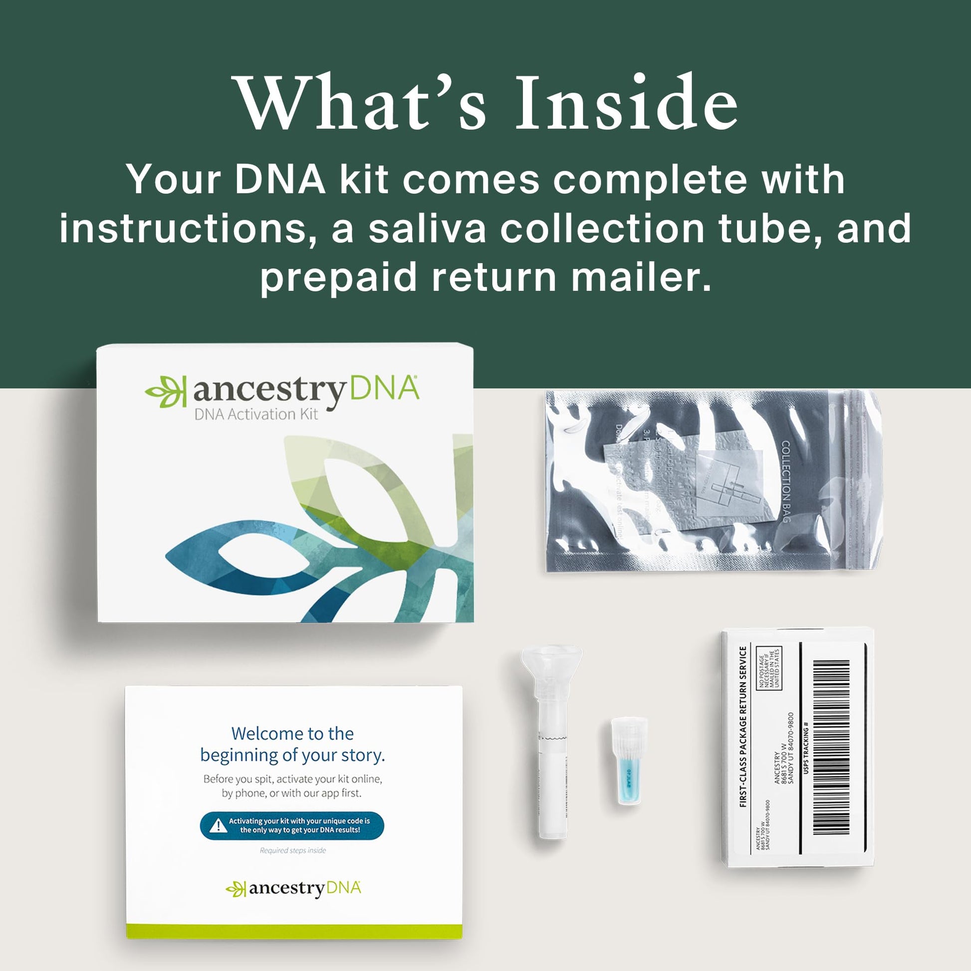 AncestryDNA Genetic Test Kit: Personalized Genetic Results, DNA Ethnicity Test, Origins AncestryDNA