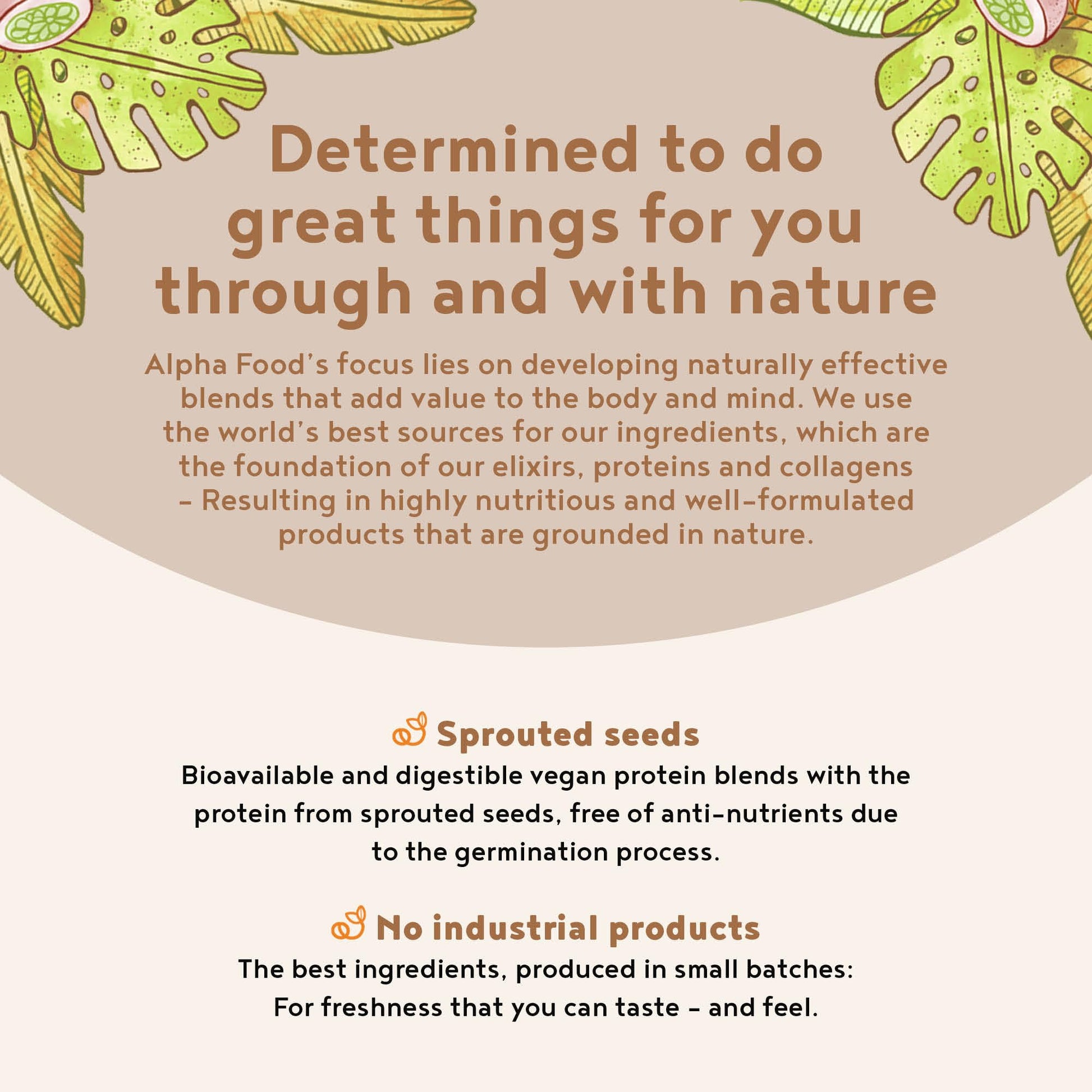 Alpha Foods Vegan Protein Powder - Muscle Building Powder with Amino Acids Alpha Foods